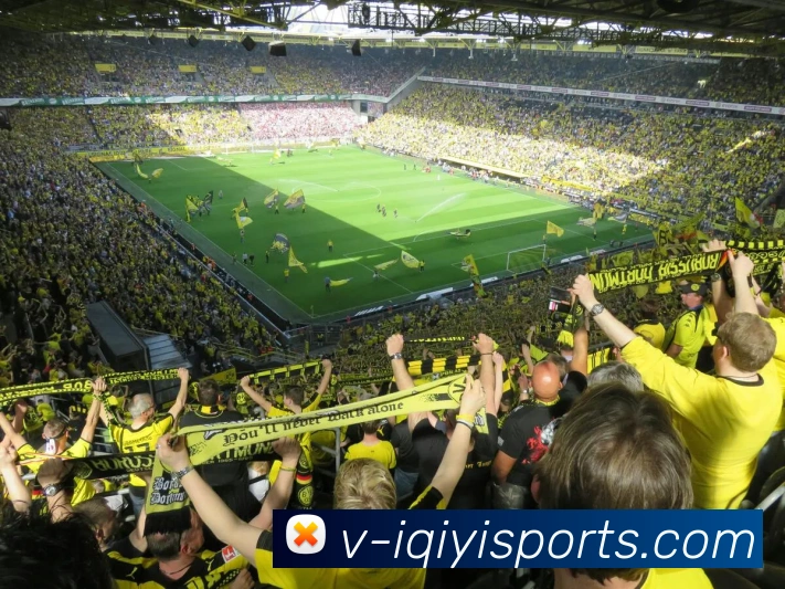 爱奇艺体育发展历程